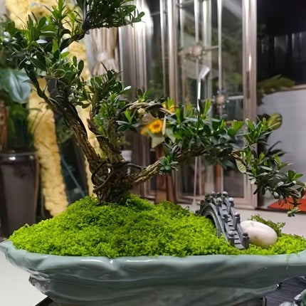 1 Packs of Artificial Moss - Fake Green Moss