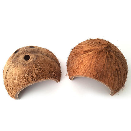Reptile cache cave natural hideout coconut shell