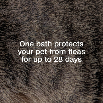 Adams Plus Flea & Tick Shampoo with Precor IGR for Dogs & Cats 12 oz.