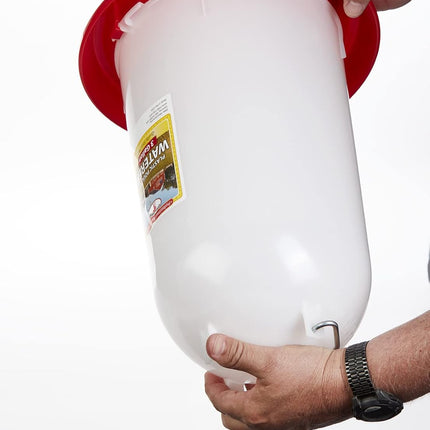 Little Giant 3 Gallon Poultry Drinker 2-Pack Gravity Fed Chicken Waterer Red Base