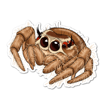 Jumping Spider laminated sticker arachnid brown animated