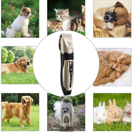 Rechargeable Dog Clippers, Low Noise Pet Shaver Dog Grooming Kit Cordless Professional Dog Hair Trimmer with Comb Scissors for Dogs Cats & Others