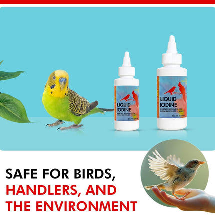 Liquid Iodine Supplement for Birds Feather Thyroid Support 4oz