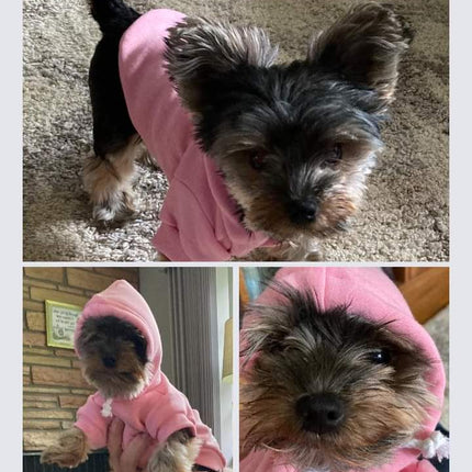 Pet Hoodies for Dogs