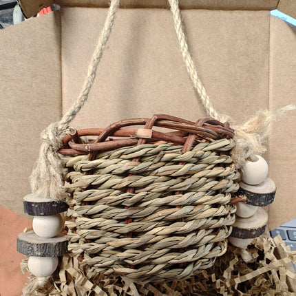 Play & Chew Toys & More Perfect for Cavy, Rabbits & Rodents