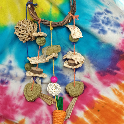 Chew Toy Hanging (With Clips) hang in cage for Great Fun