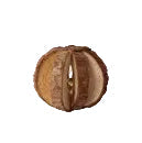 Treat & Play Ball for Bunnies, Guinea Pigs & Rodents Various Types