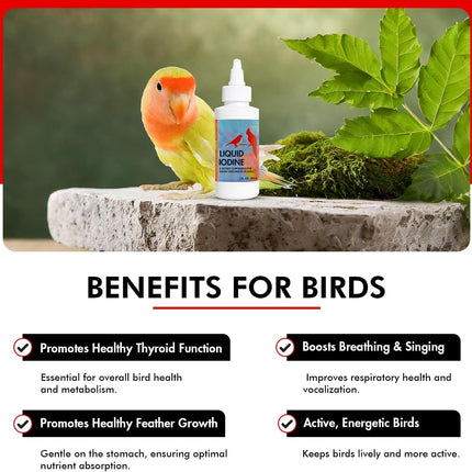 Liquid Iodine Supplement for Birds Feather Thyroid Support 4oz