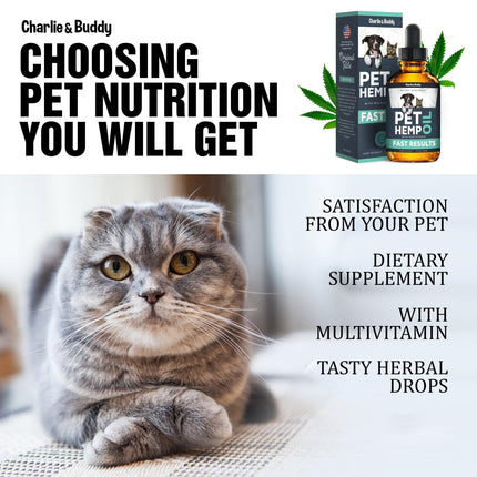 Hemp Oil for Dogs & Cats Anxiety Pain Stress & Sleep Support