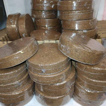 Coconut Terrarium Substrate 50 LOT
