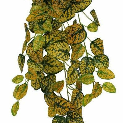 Pangea Japanese Laurel Hanging Bush 24"