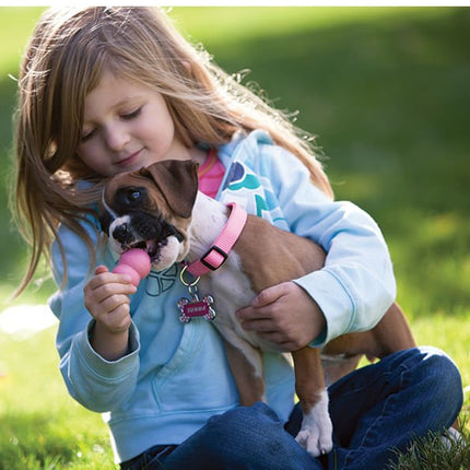 Puppy KONG Treat-Stuffing Chew Dog Toy