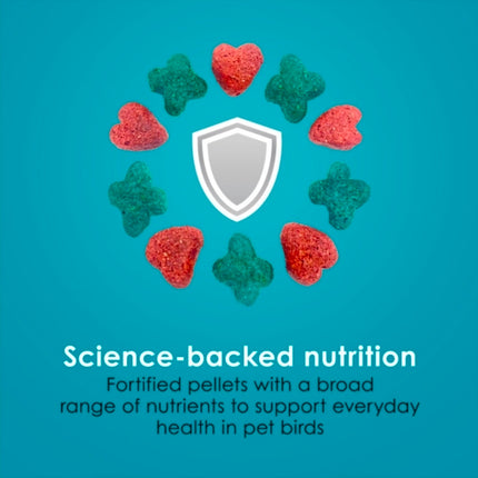Kaytee Forti-Diet Pro Health Nourish+Protect Parrot Food 5#